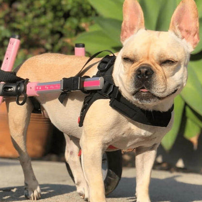 Walkin Wheels Dog Wheelchair for small dogs, adjustable and lightweight rear support