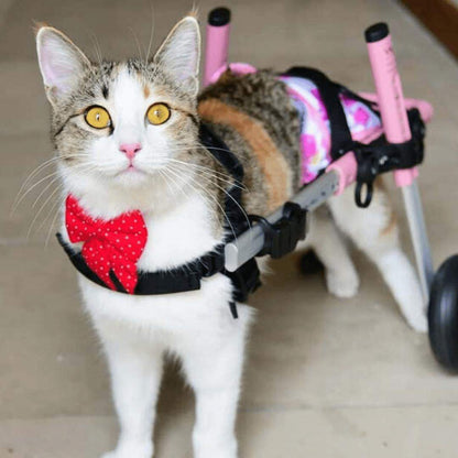 Walkin Wheels Dog Wheelchair small size rear support for dogs 11-25 lbs adjustable lightweight frame