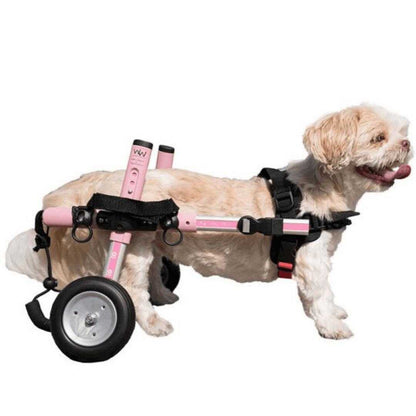 Walkin Wheels Dog Wheelchair for small dogs with adjustable lightweight frame and colorful options