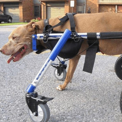 Wheels4Dogs Walkin’ Amputee Dog Leg Ring Cover   Pets Own Us