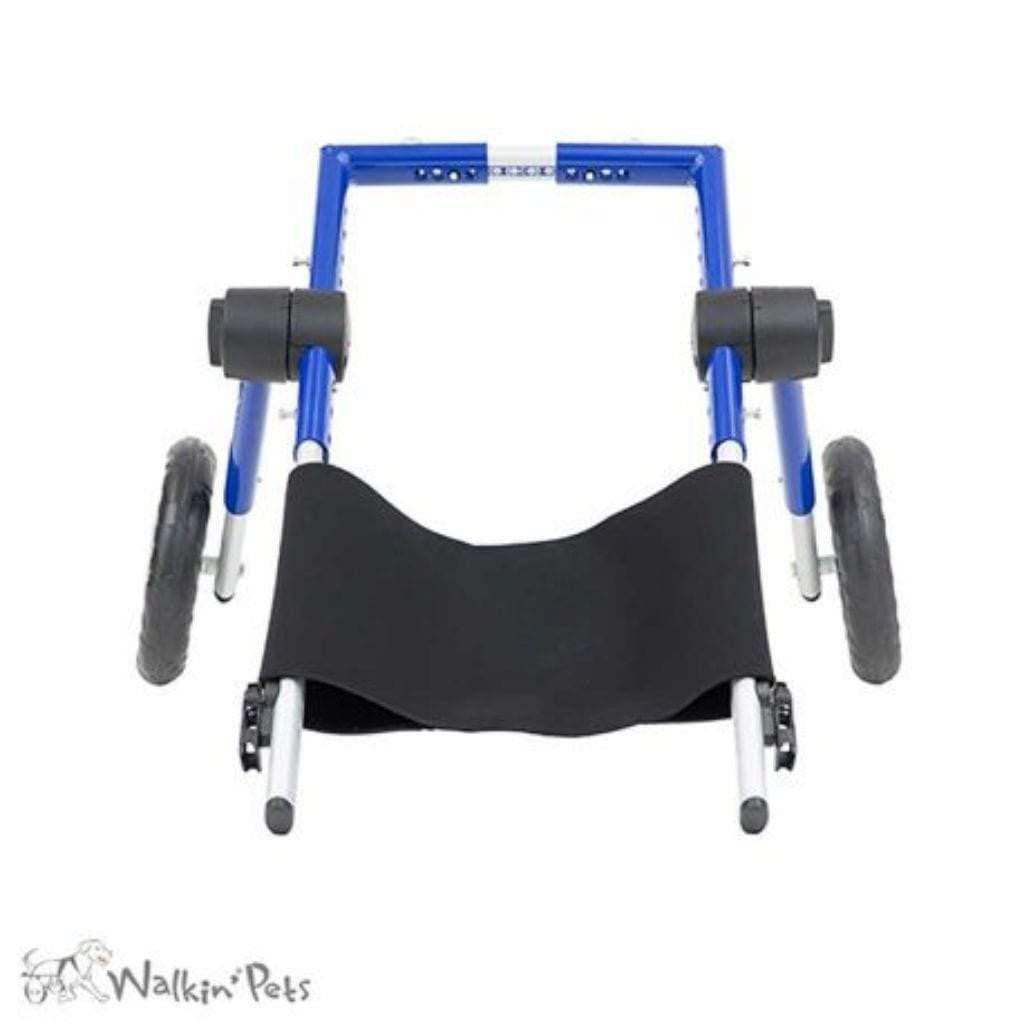 Dog wearing Walkin’ Belly Support attached to wheelchair for spine support