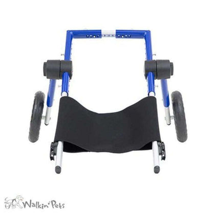 Dog wearing Walkin’ Belly Support attached to wheelchair for spine support