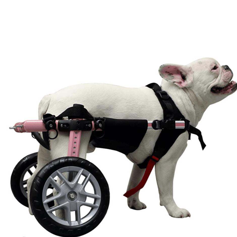 Wheels4Dogs Walkin’ Belly Support Walkin’ Belly Support | Pets Own Us