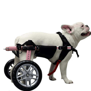 Wheels4Dogs Walkin’ Belly Support Walkin’ Belly Support | Pets Own Us