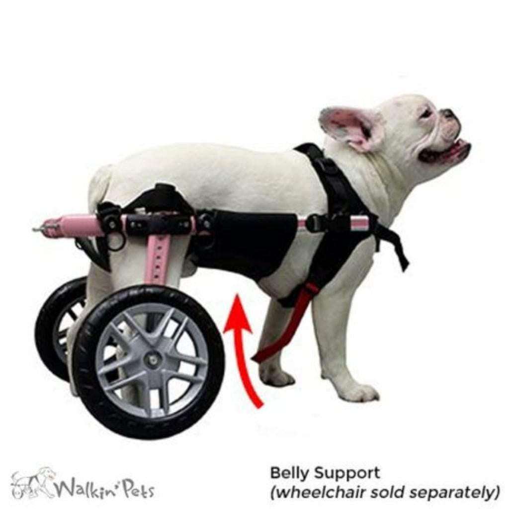Walkin’ Belly Support for dogs with spinal support and wheelchair attachment