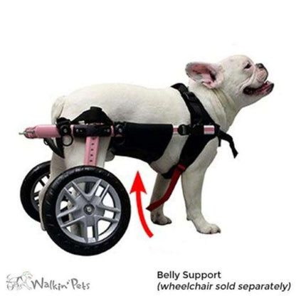 Walkin’ Belly Support for dogs with spinal support and wheelchair attachment