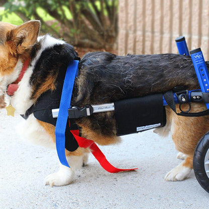 Wheels4Dogs Walkin’ Belly Support Walkin’ Belly Support | Pets Own Us