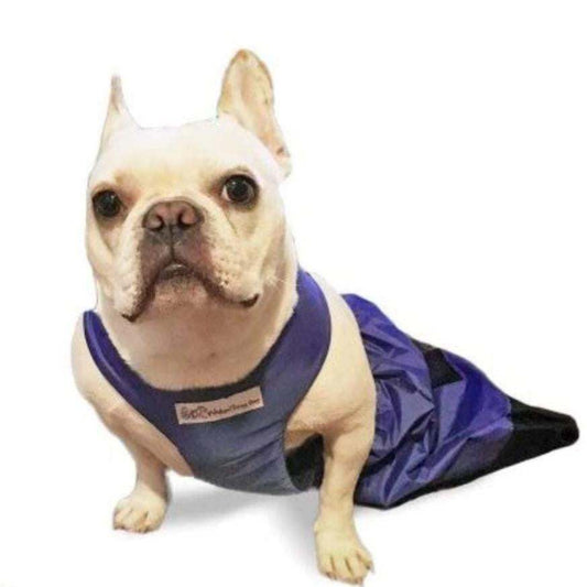 Blue Walkin’ Drag Bag protecting dog’s chest and legs with ventilation mesh and nylon fabric