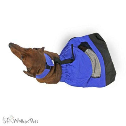 Walkin’ Drag Bag protecting paralyzed dog’s chest and rear legs from floor scraping with breathable mesh panel in bright blue nylon