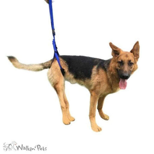 Wheels4Dogs Walkin’ Rear Support Leash Walkin’ Rear Support Leash - Support Aging or Injured Dogs Effectively