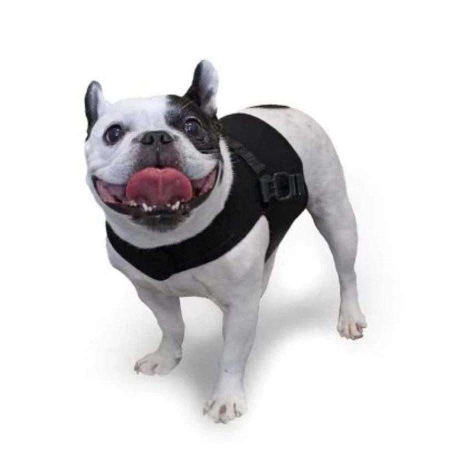 Walkin’ Small Front Dog Vest showing chest measurement guide for small dog breeds