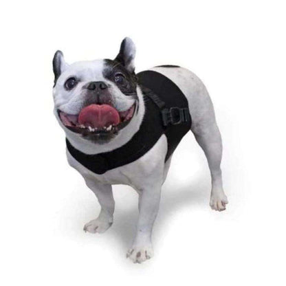 Walkin’ Small Front Dog Vest showing chest measurement guide for small dog breeds
