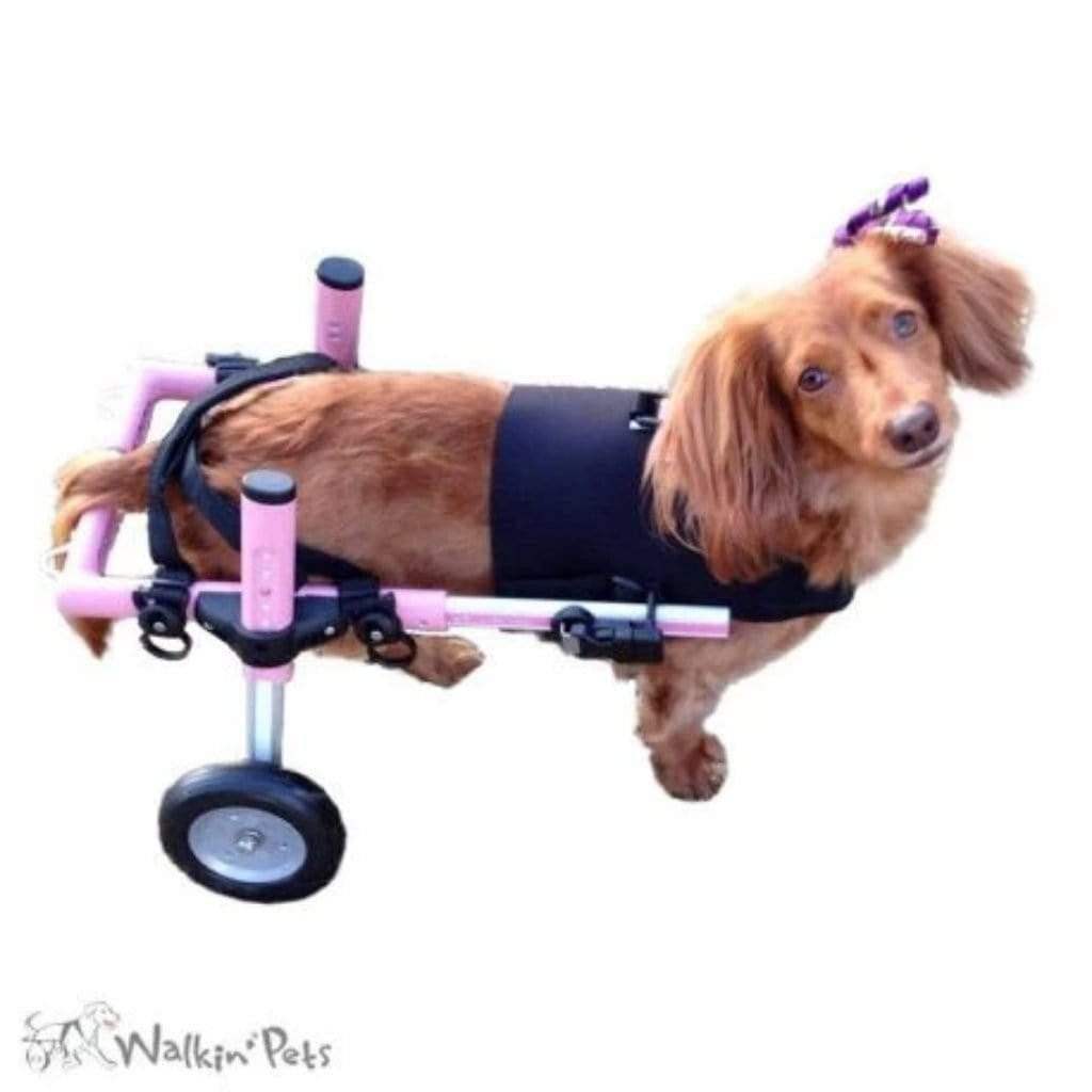 Wheels4Dogs Walkin’ Small Front Dog Vest Walkin’ Small Front Dog Vest | Pets Own Us