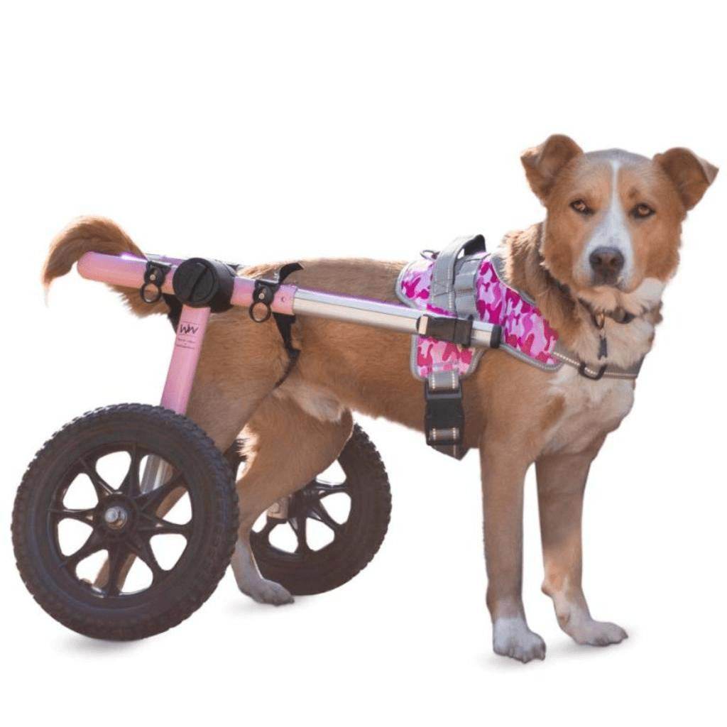 Walkin’ Warrior Front Harness for dogs, adjustable, padded, camouflage colors, wheelchair compatible