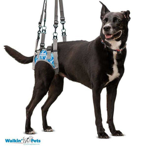 Walkin’ Warrior Rear Harness supporting dog's hind legs for mobility and comfort