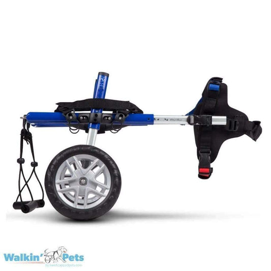 Walkin’ Wheels CORGI dog wheelchair in blue for rear leg support and mobility aid