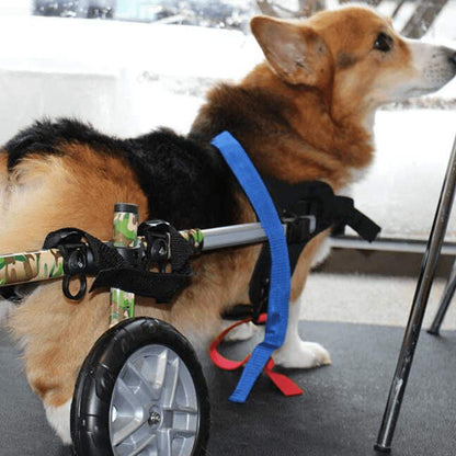 Wheels4Dogs Walkin’ Wheels CORGI Dog Wheelchair, Rear Walkin’ Wheels CORGI Dog Wheelchair - Durable & Adjustable for Small Breeds