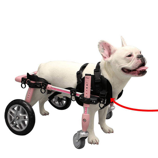 Walkin’ Wheels Front Neoprene Harness supporting small to medium dogs’ front torso with adjustable handles and durable neoprene material