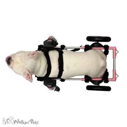 Wheels4Dogs Walkin’ Wheels Front Neoprene Harness   Pets Own Us