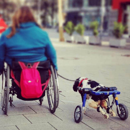 Medium dog wheelchair Walkin' Wheels rear adjustable lightweight for 26-49 lbs dogs