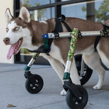Walkin’ Wheels MEDIUM Front Wheel Attachment logo for pet wheelchair conversion