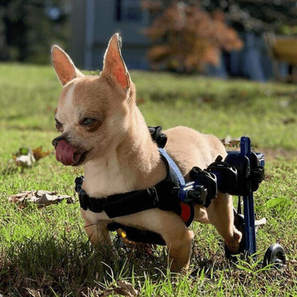 Walkin' Wheels MINI Dog Wheelchair in blue for small pets with adjustable lightweight frame