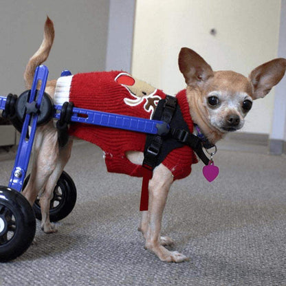 Walkin' Wheels MINI Dog Wheelchair for small dogs and pets up to 10 lbs, adjustable and lightweight rear wheelchair.
