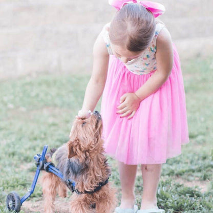 Walkin' Wheels MINI Dog Wheelchair for small pets, adjustable and lightweight rear support cart