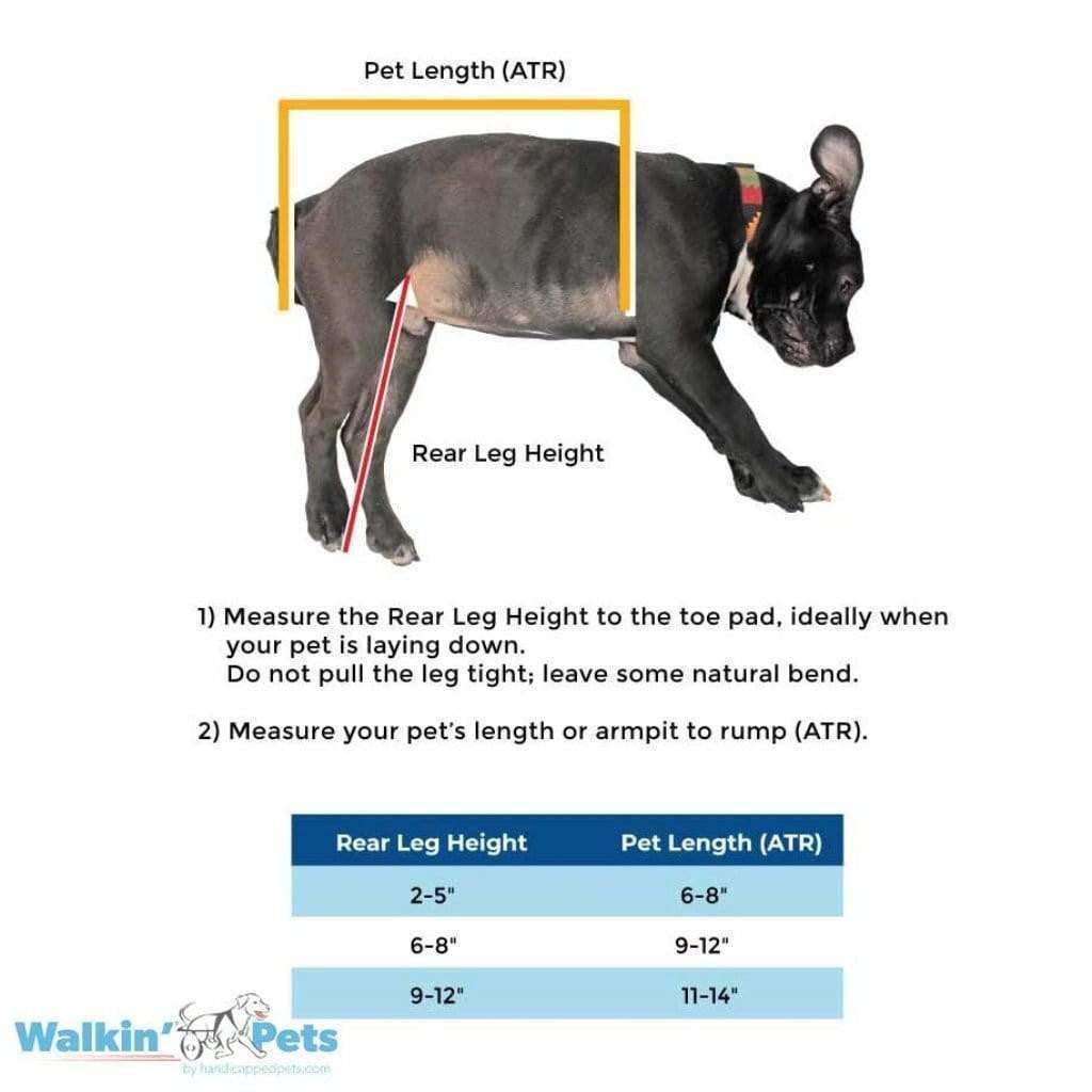 Walkin' Wheels MINI Dog Wheelchair for small pets, adjustable and lightweight rear support