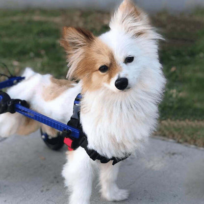 Walkin' Wheels MINI Dog Wheelchair for small dogs and pets, adjustable and lightweight rear support frame in blue