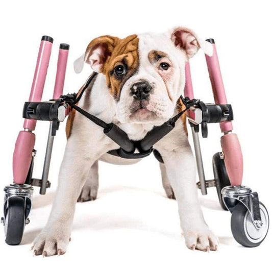 Walkin’ Wheels Small Front Wheel Attachment logo for dog wheelchair accessory
