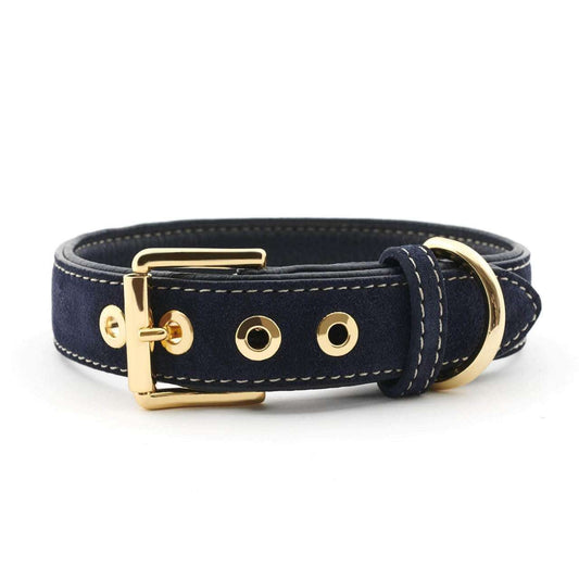 Dark blue suede leather dog collar with white stitching and brass hardware by William Walker