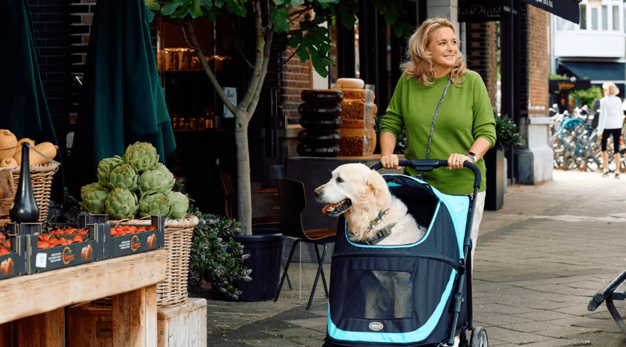 Innopet Mamut Dog Pram