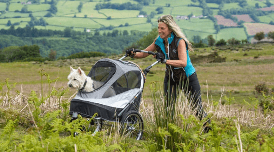 Hiking with the Innopet Sporty Deluxe 