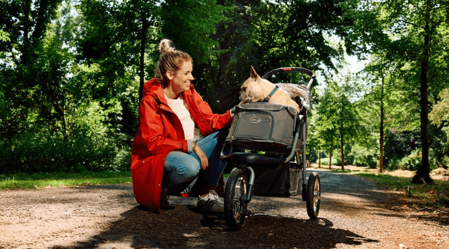 Innopet Buggy Comfort AIR Off Road Dog Pram