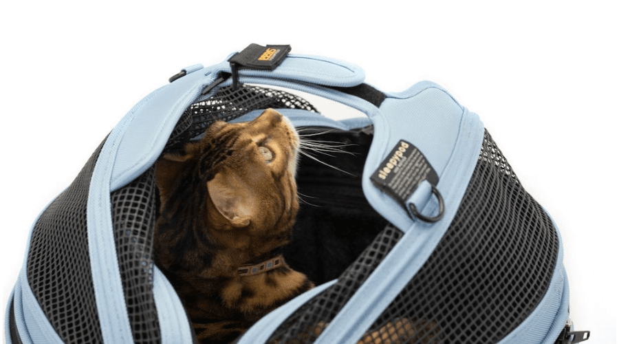 Sleepypod Mobile - Rawl Rawl Cat