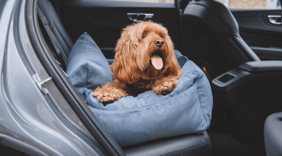 Where's Winnie Isofix Dog Car Seat