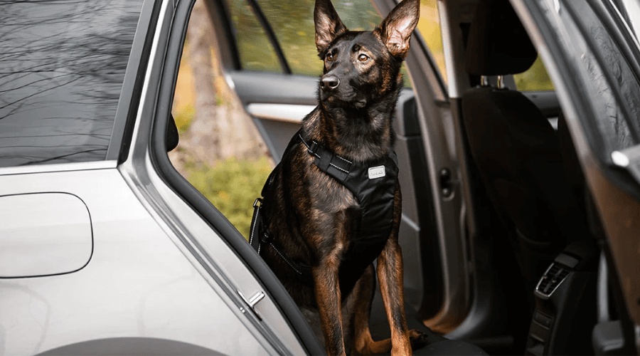 Rukka Car Safety Harness