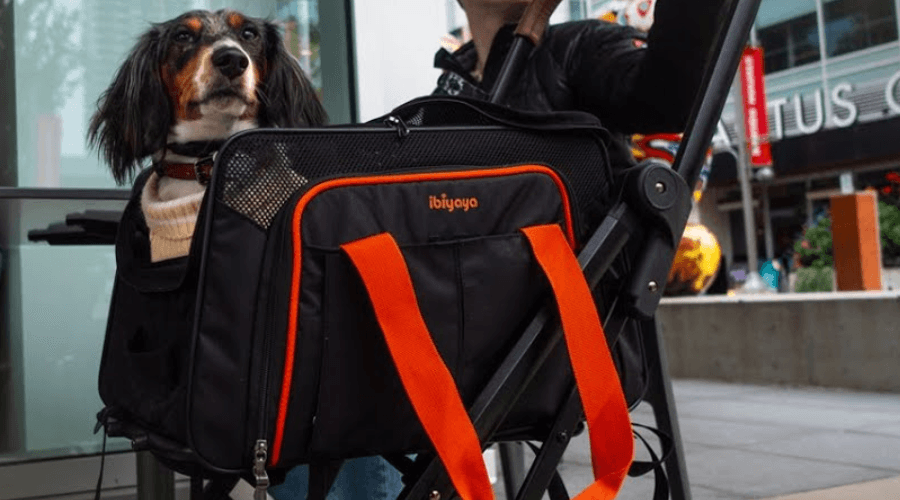 Ibiyaya Jet Paw Pet Stroller